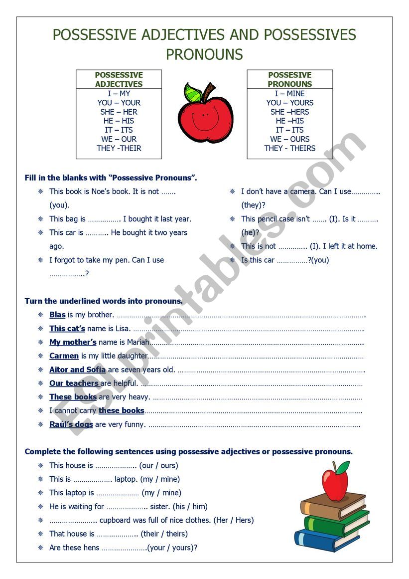 POSSESSIVE ADJECTIVES AND PRONOUNS