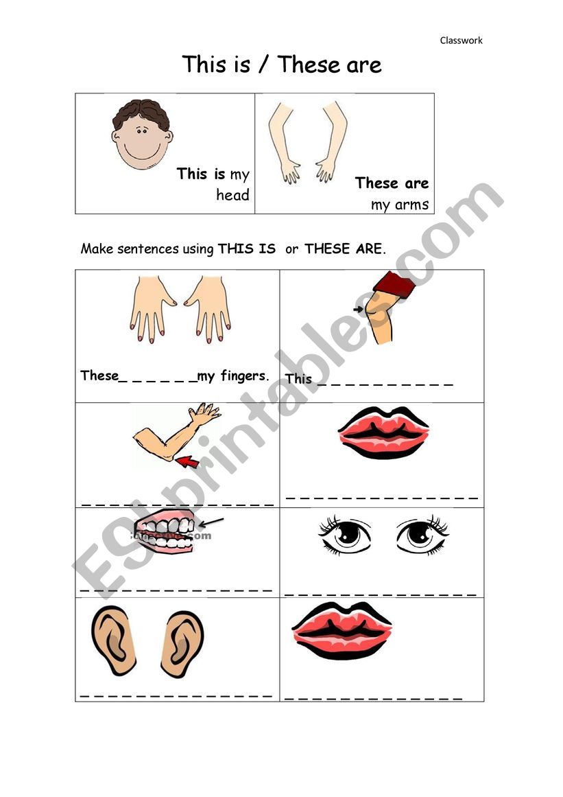 Parts of the Body worksheet