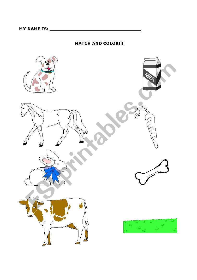 Animals and their foods worksheet