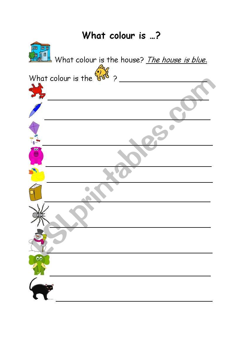 What colour is ...? worksheet