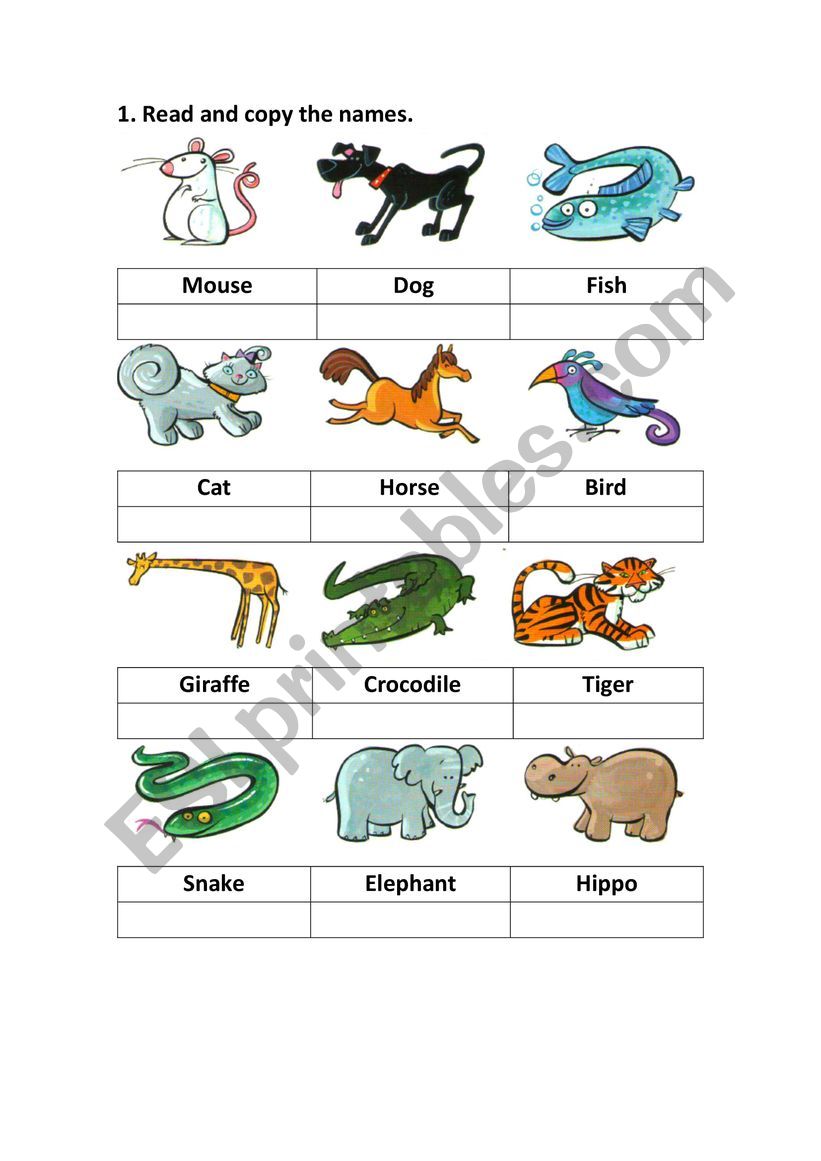 Pets and Wild animals worksheet