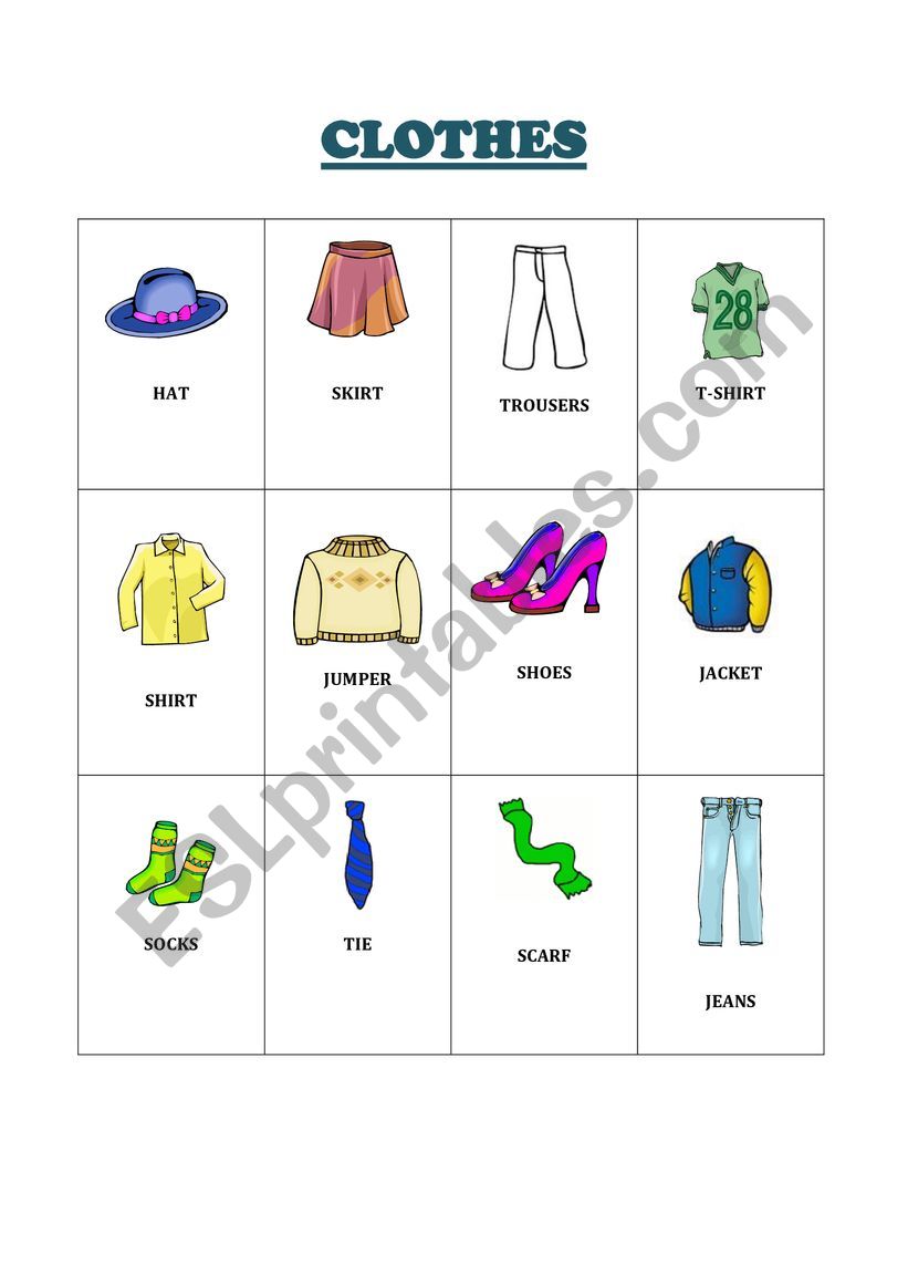 CLOTHES PICTIONARY  worksheet