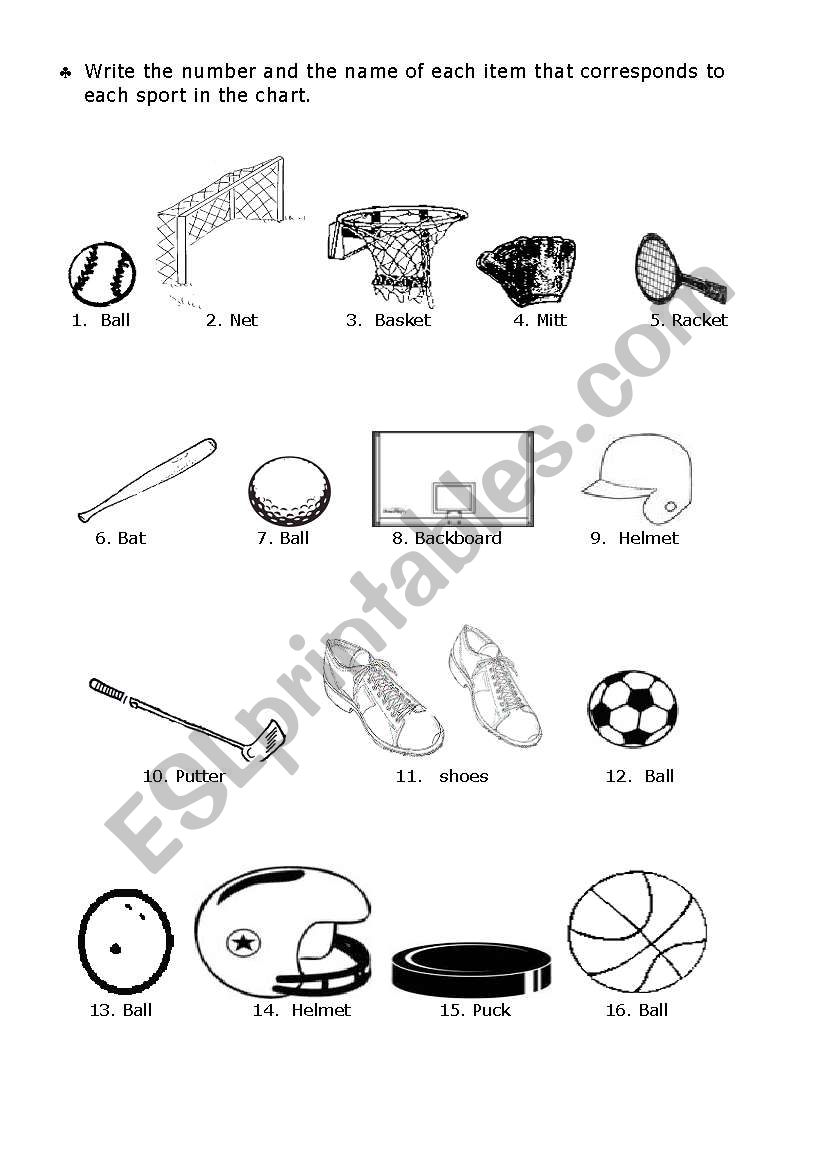 English Worksheets Sports Items