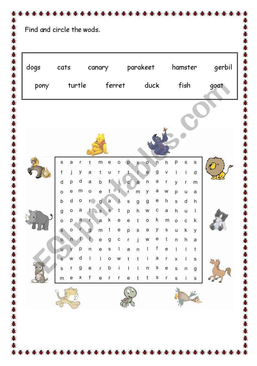 animals worksheet