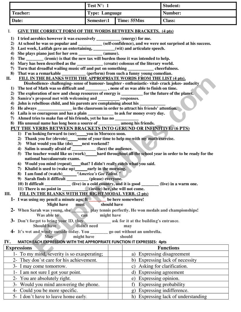 LANGUAGE TEST worksheet