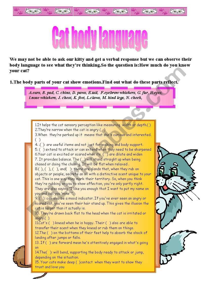 Cat body language  worksheet