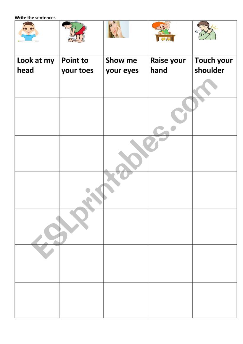 body parts worksheet