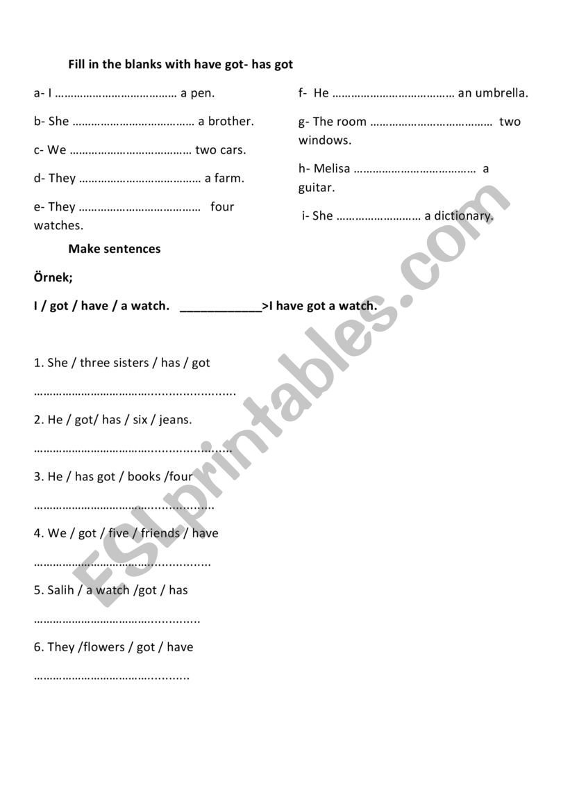 have got/has got exercises worksheet