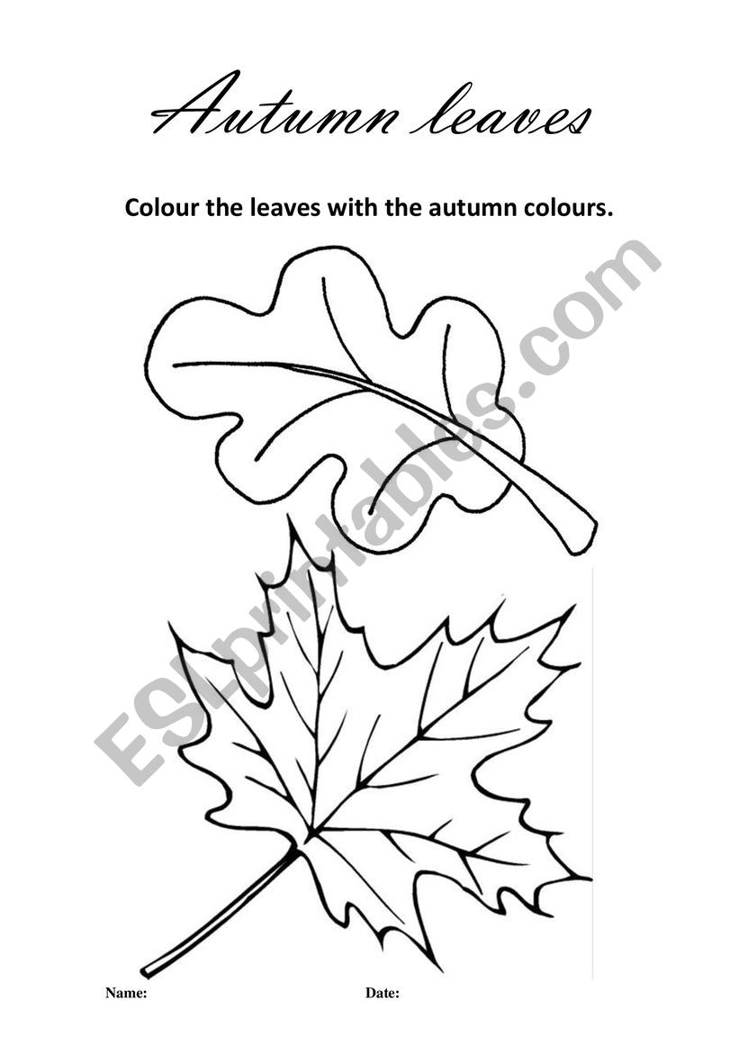 Autumn leaves worksheet