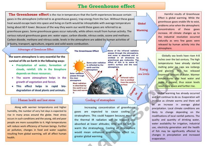 Environmental problems worksheet