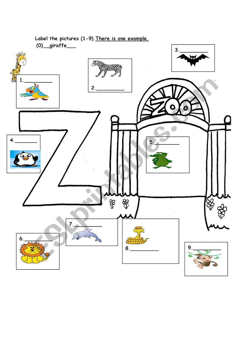 Animals worksheet