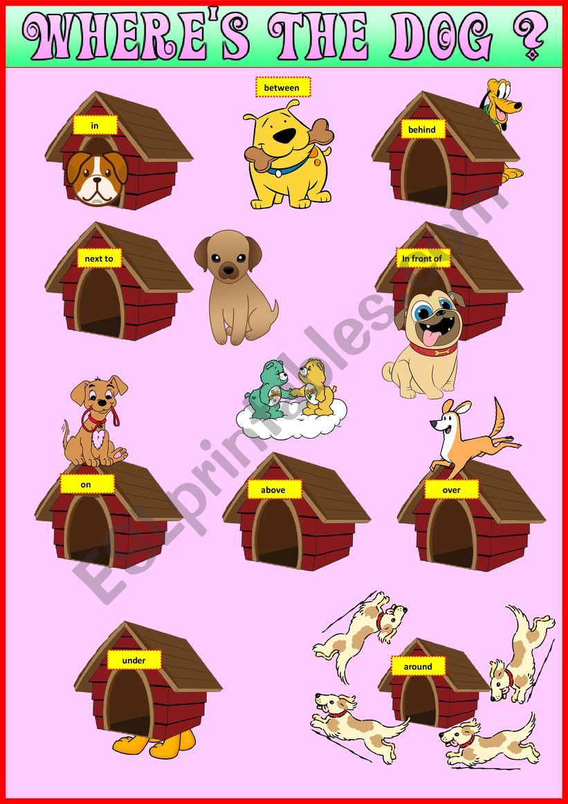Where is the dog ? Prepositions of Place - Poster