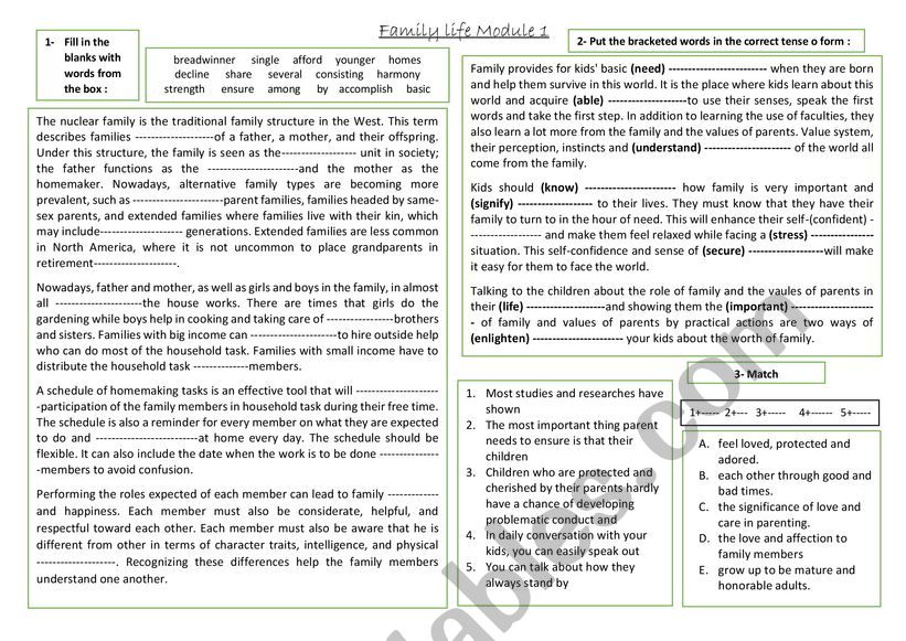 family structure and roles  worksheet