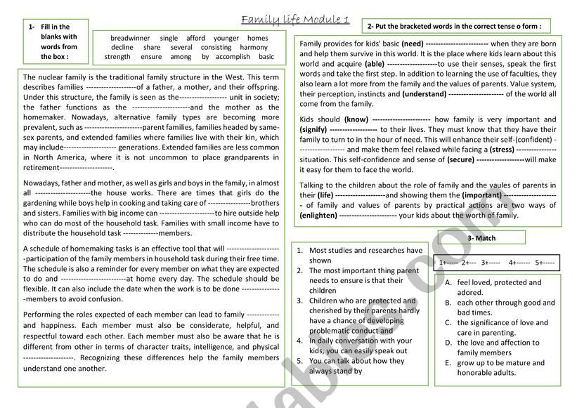 family structure and roles  worksheet