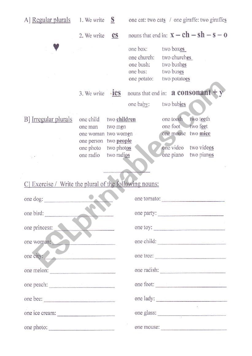 the plural of nouns worksheet