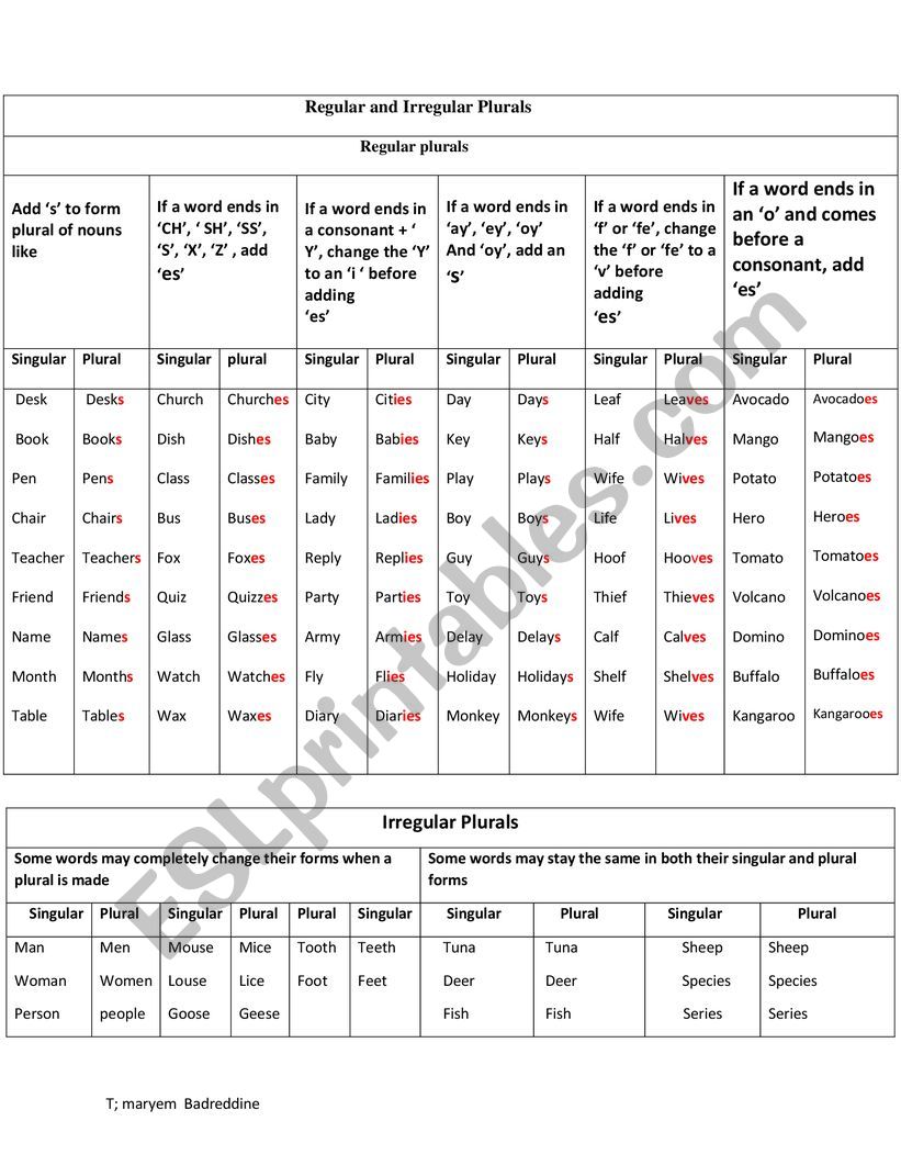 regular and irregular plurals worksheet