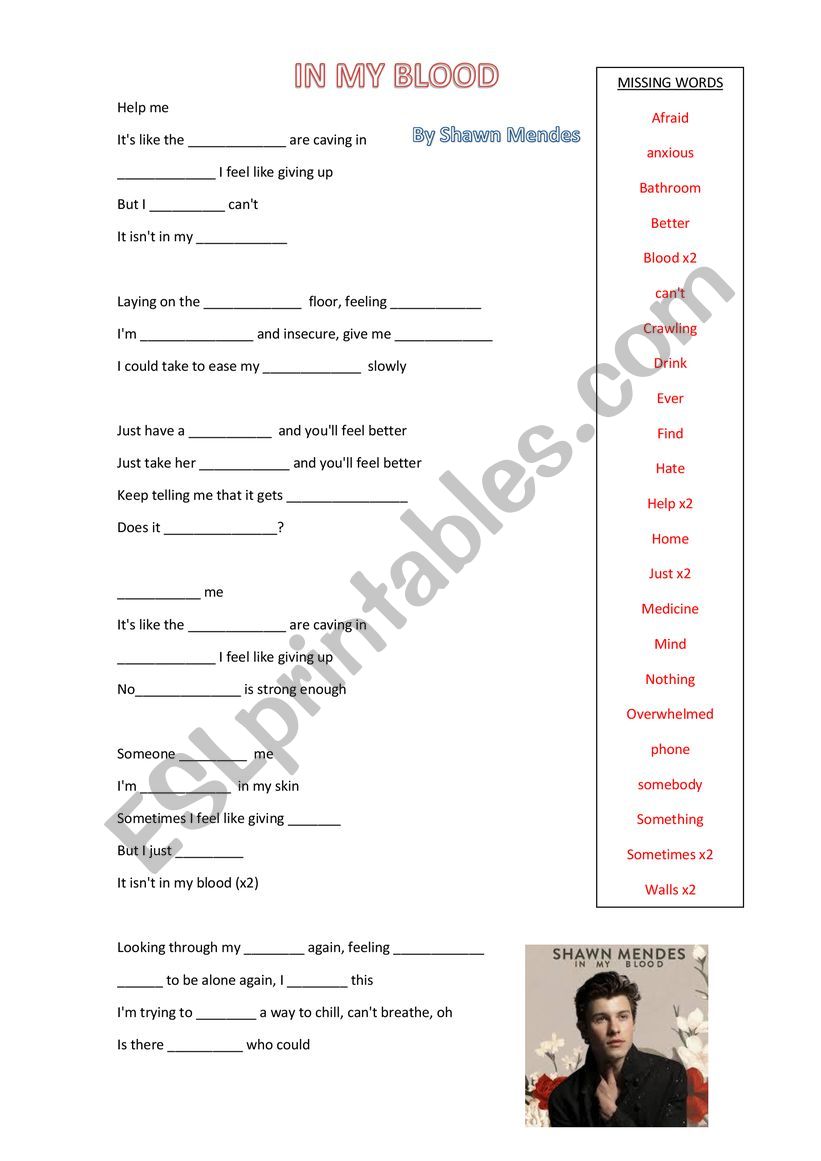 Shawn Mendes worksheet