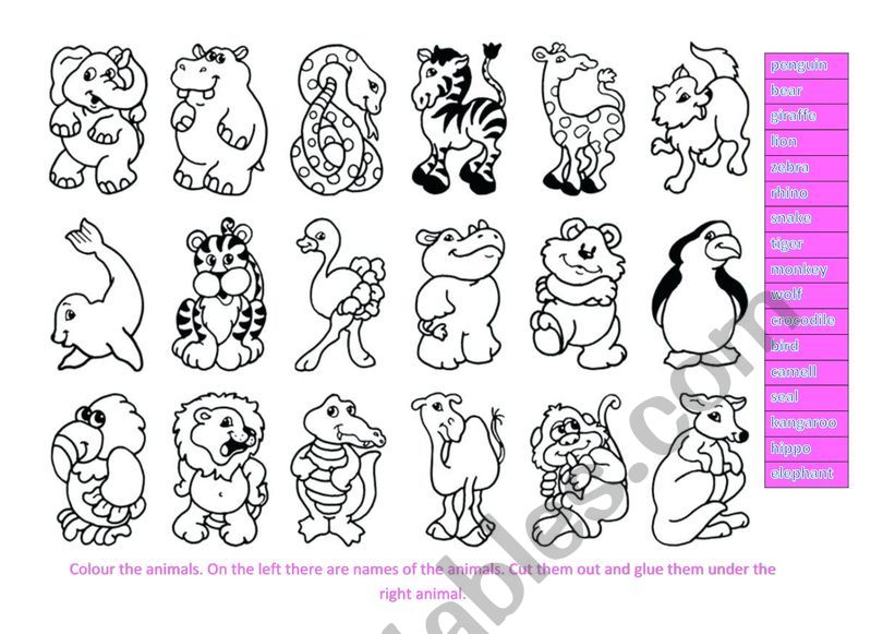 Animals colour and name! worksheet