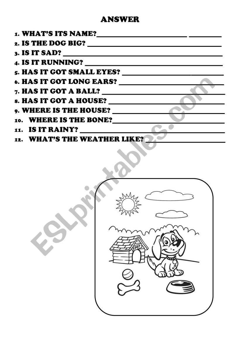 ANSWER ABOUT THE DOG worksheet