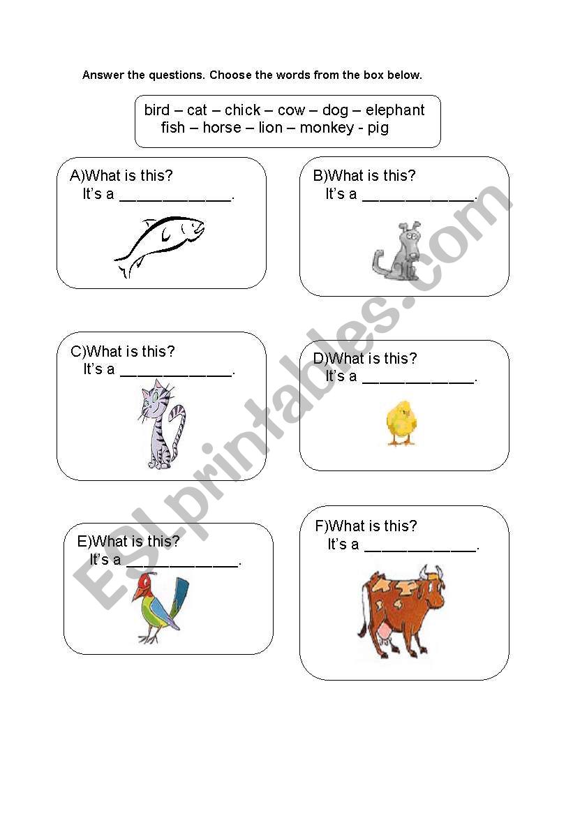 What is this   - animals worksheet