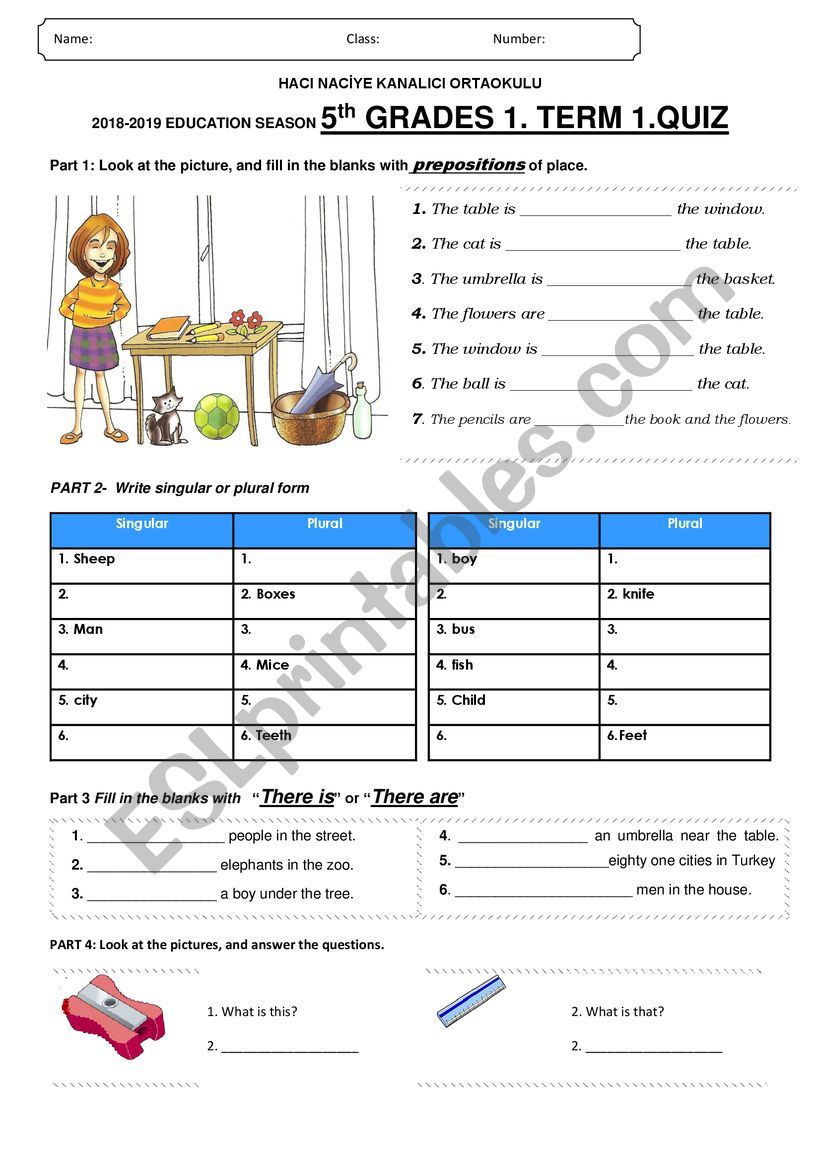 quiz for 5th grade worksheet