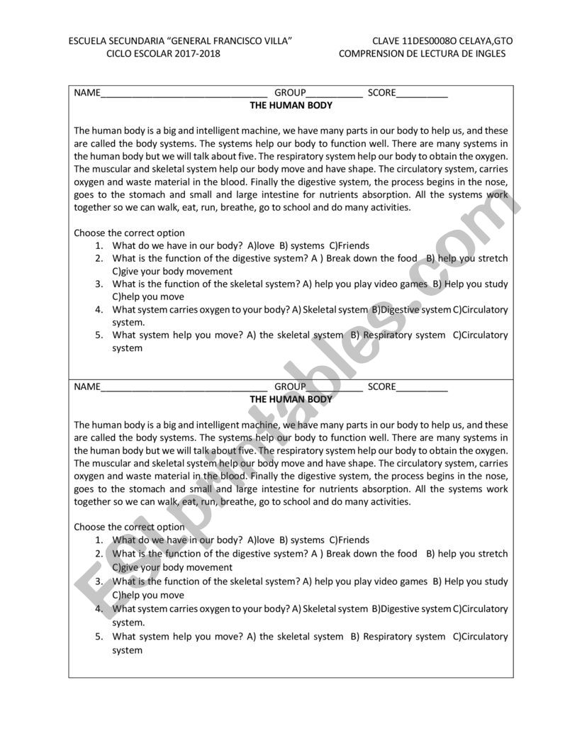 Reading comprehension  worksheet