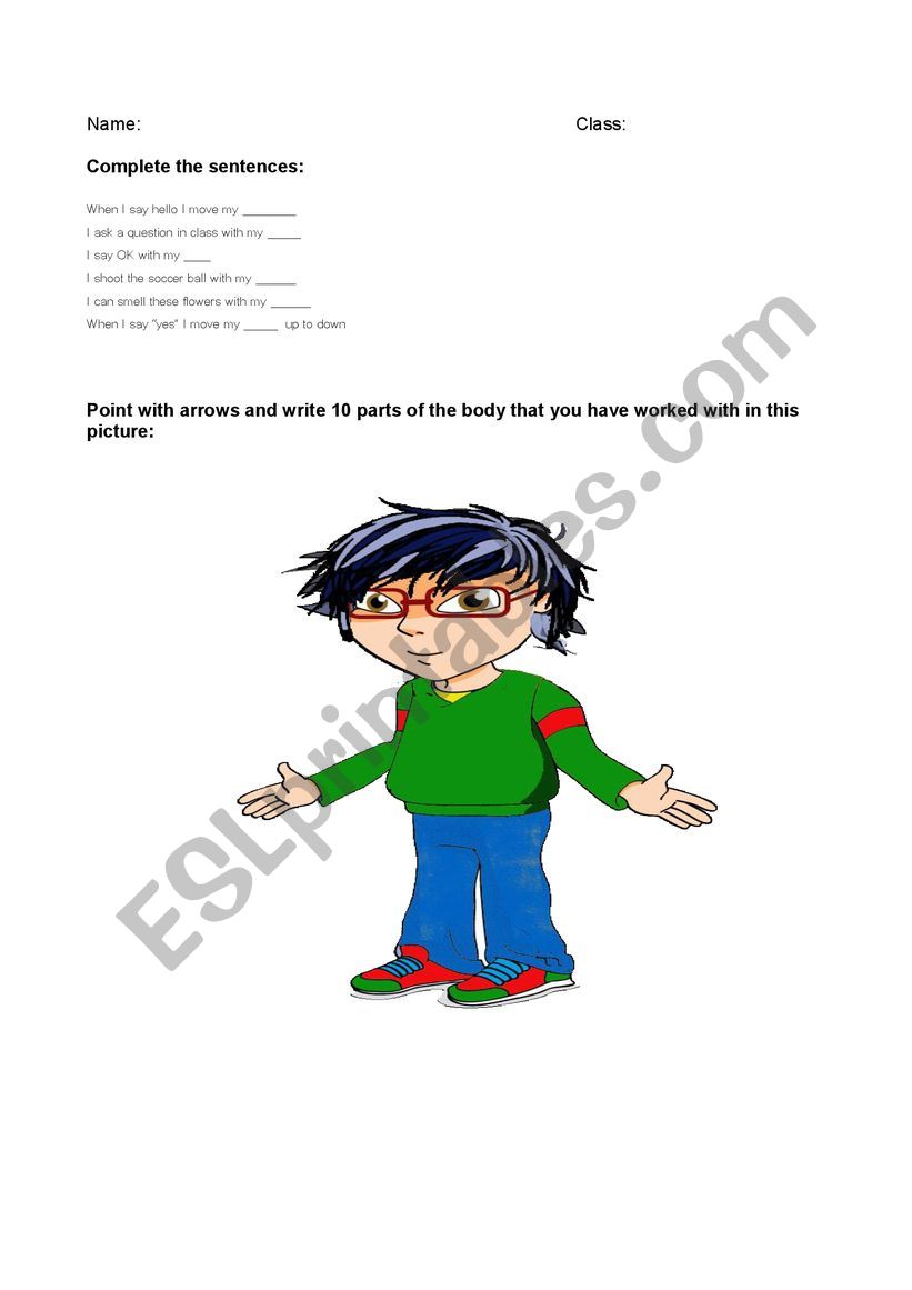 Activities parts of the body worksheet