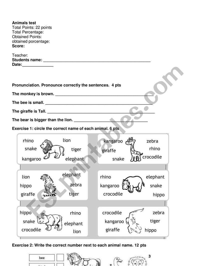 Animals test worksheet