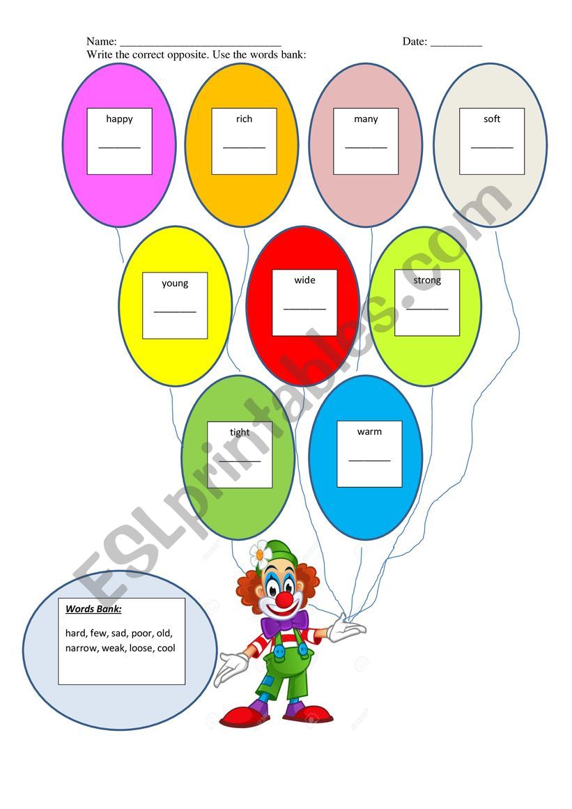 Opposites worksheet worksheet