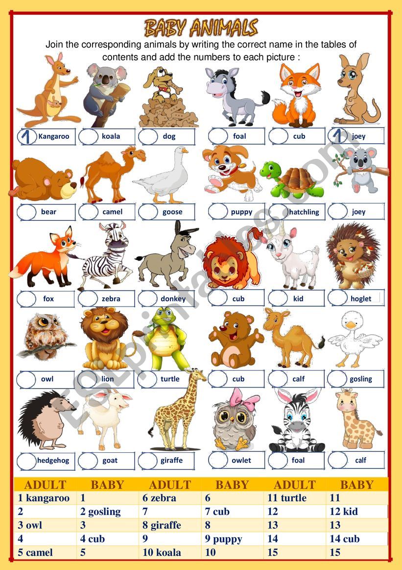 BABY ANIMALS (2 of 2) worksheet