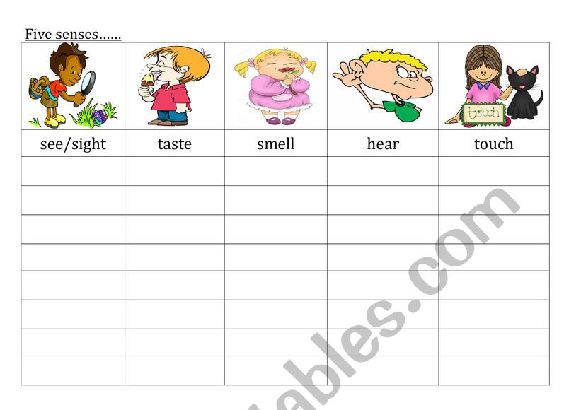 five senses  worksheet