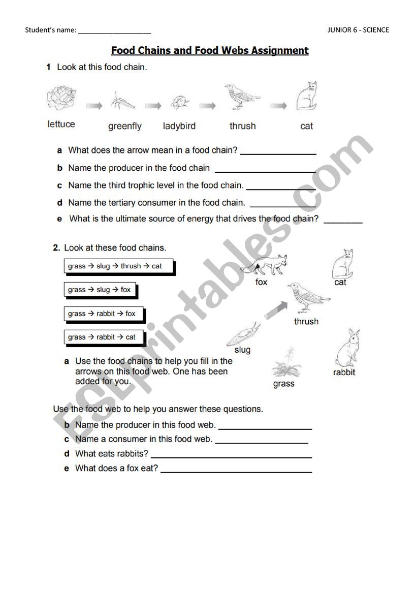 Food chains and Food webs - ESL worksheet by eu_g@live.com For Food Web Worksheet Answer Key