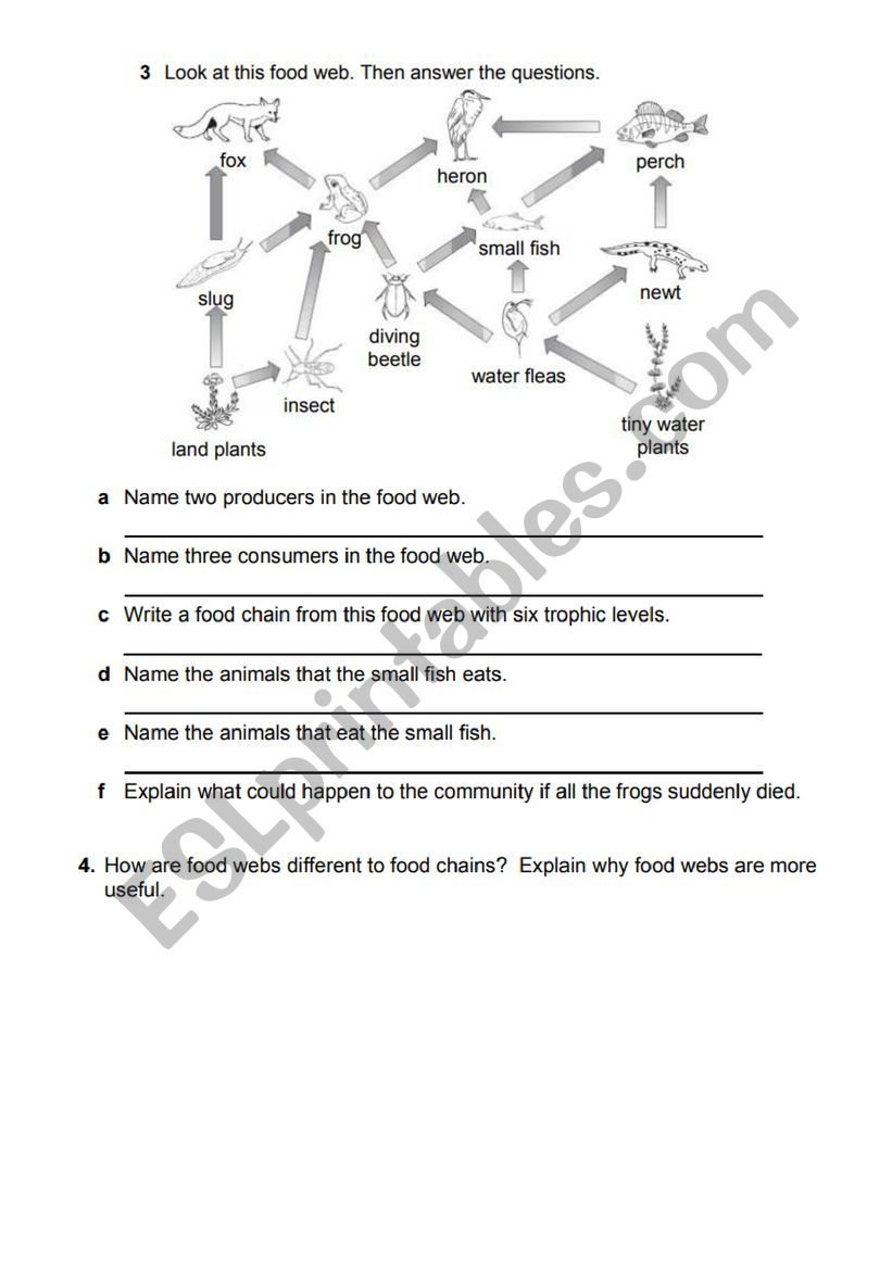 food-web-worksheet-answer-key