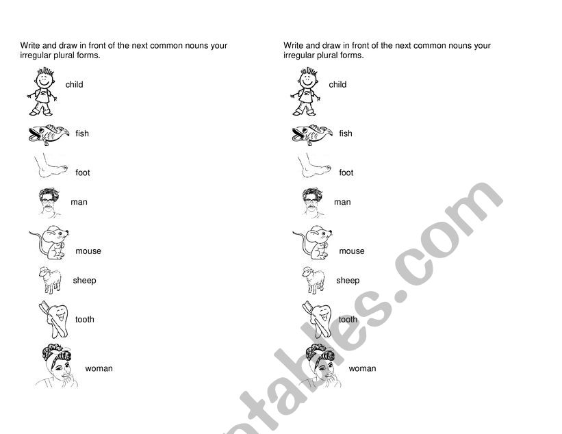 plural nouns worksheet