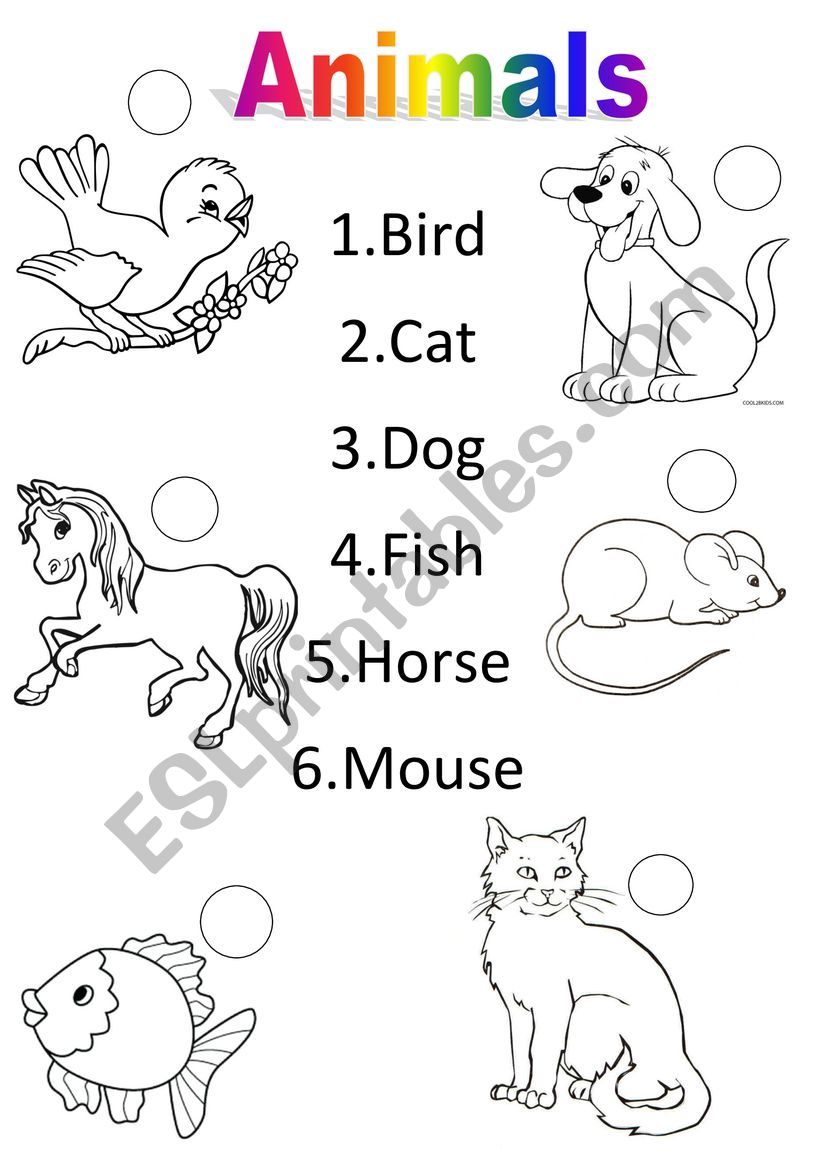 Animals worksheet