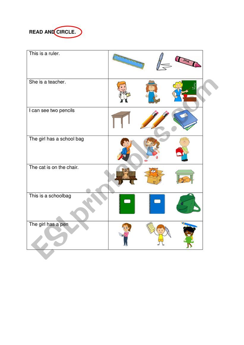 What can you see? worksheet
