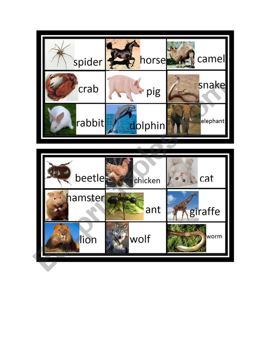 Animals bingo worksheet