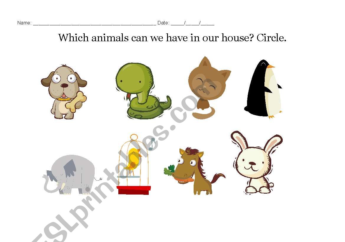 WHICH ANIMALS worksheet