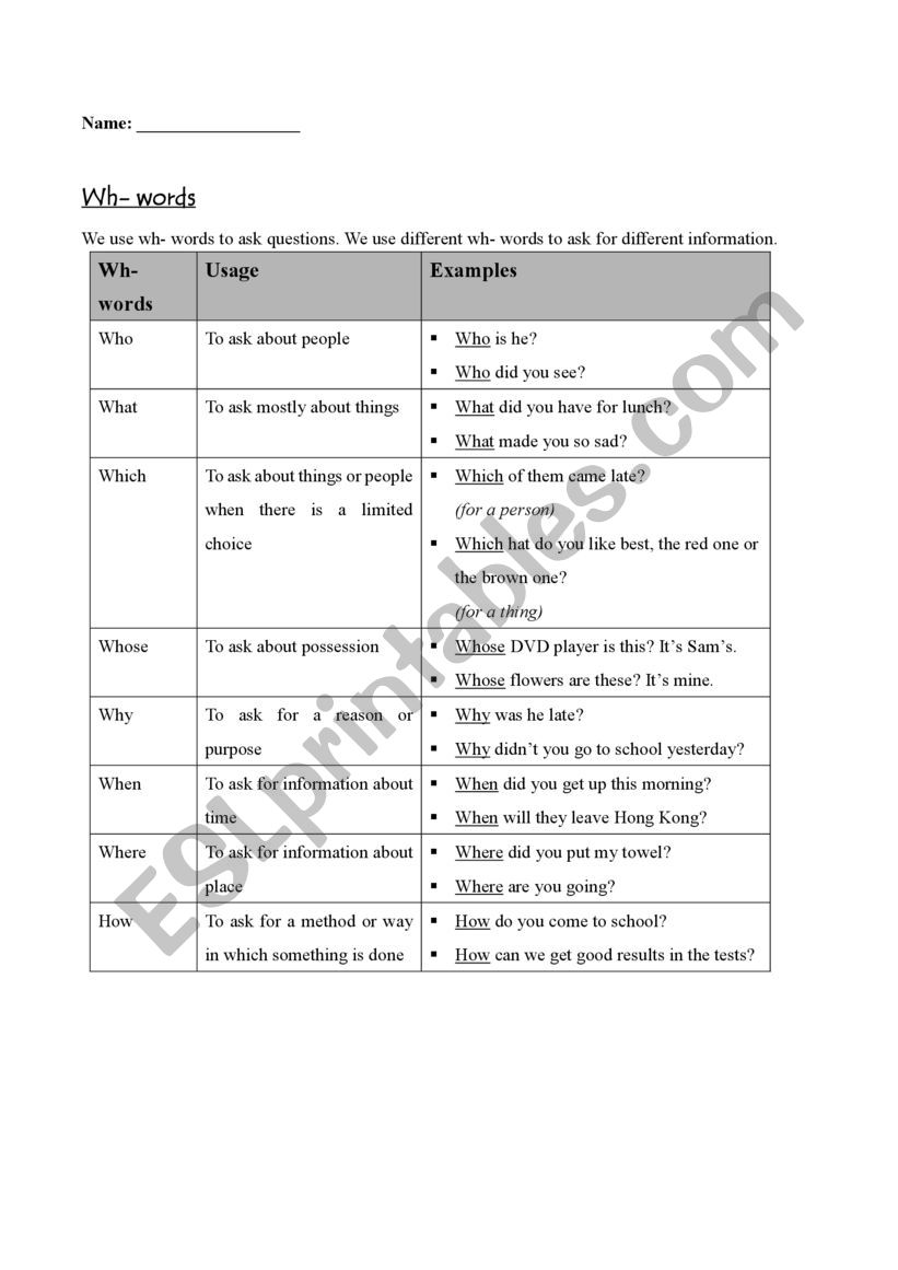 Wh questions worksheet