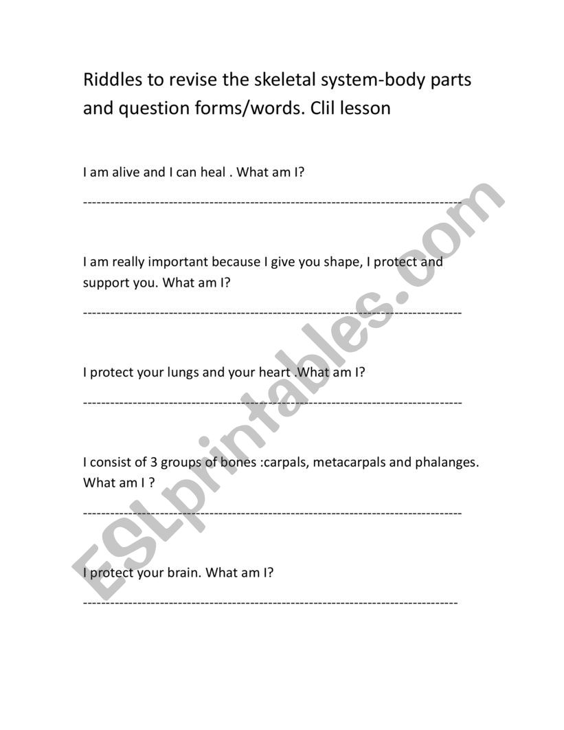 The skeletal system worksheet