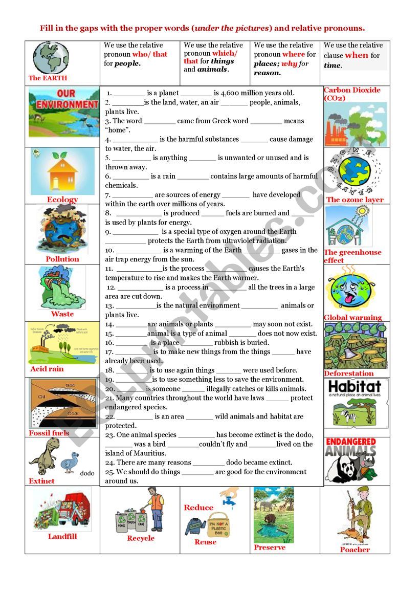 Ecological problems(vocab); relative clauses