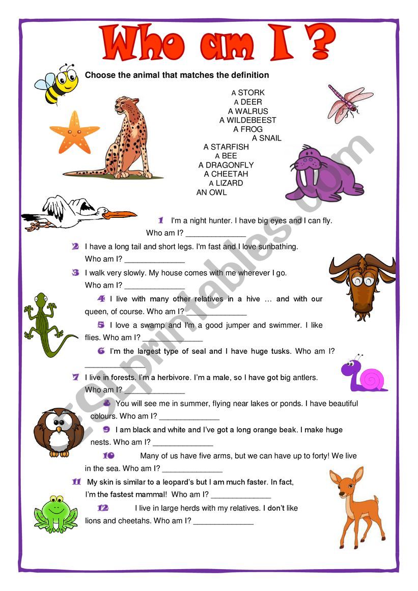 Who am I? worksheet