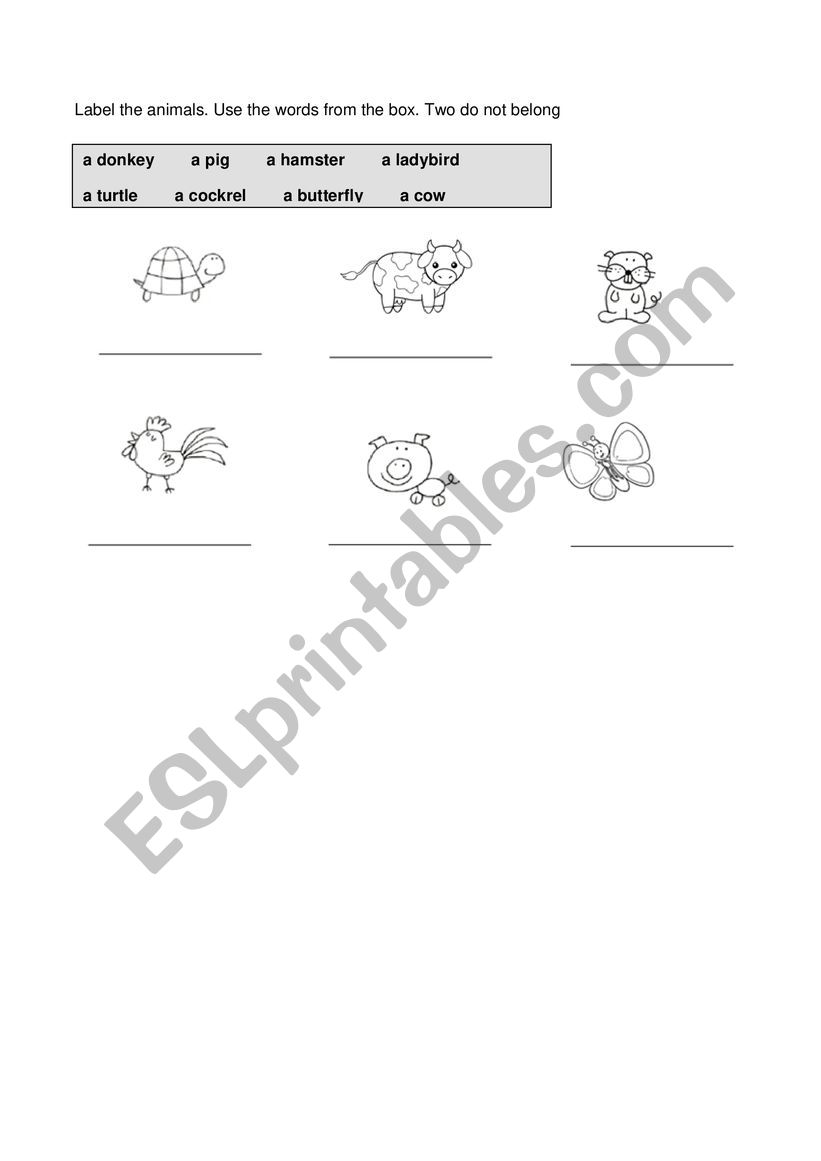 Animals worksheet