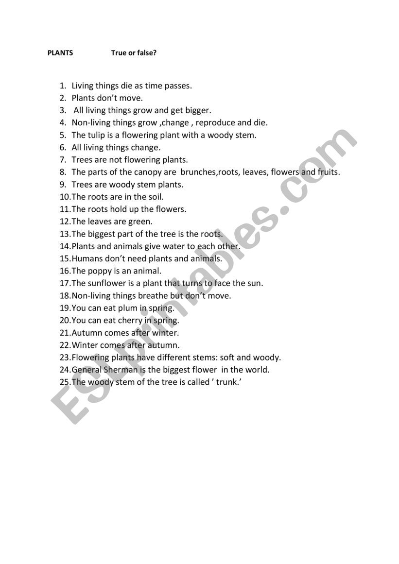 Plants worksheet