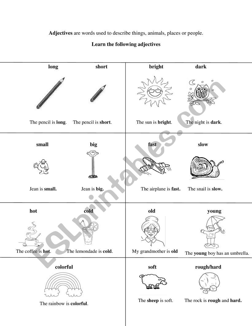 Basic Adjectives ESL Worksheet By Loredana05