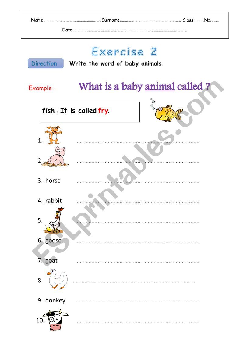 baby animals worksheet