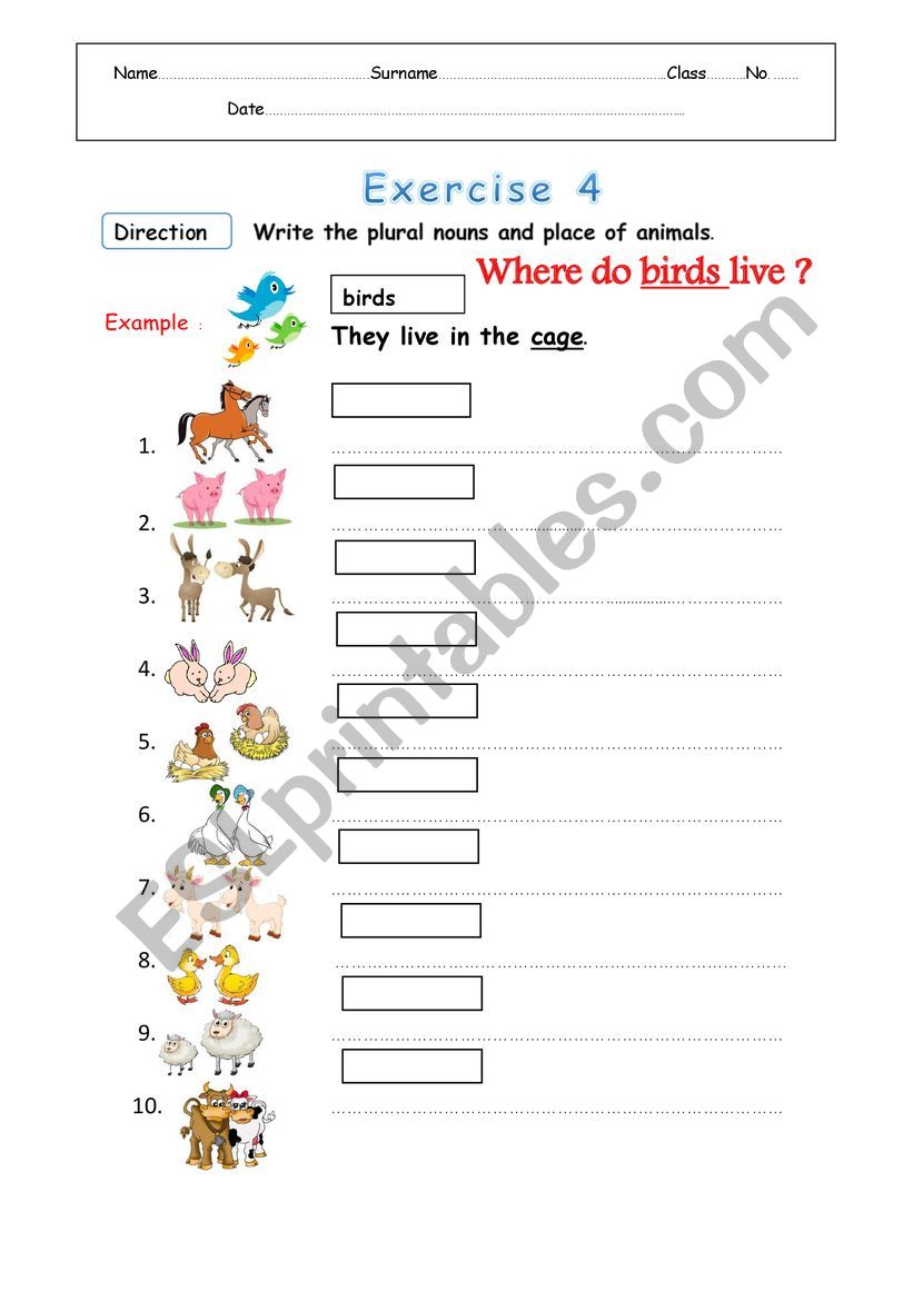 Animal Home worksheet