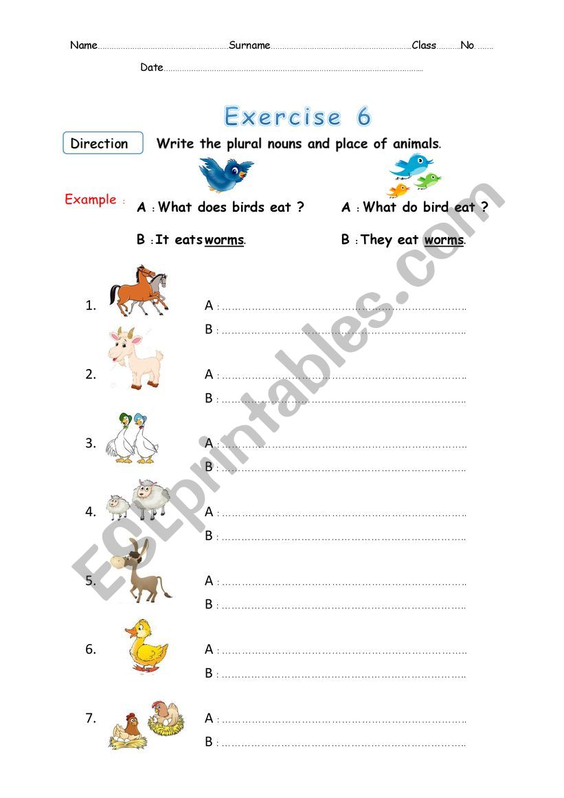 Animal Food worksheet