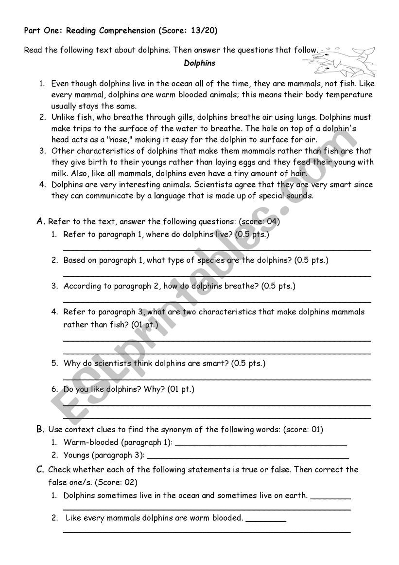 Dolphins worksheet