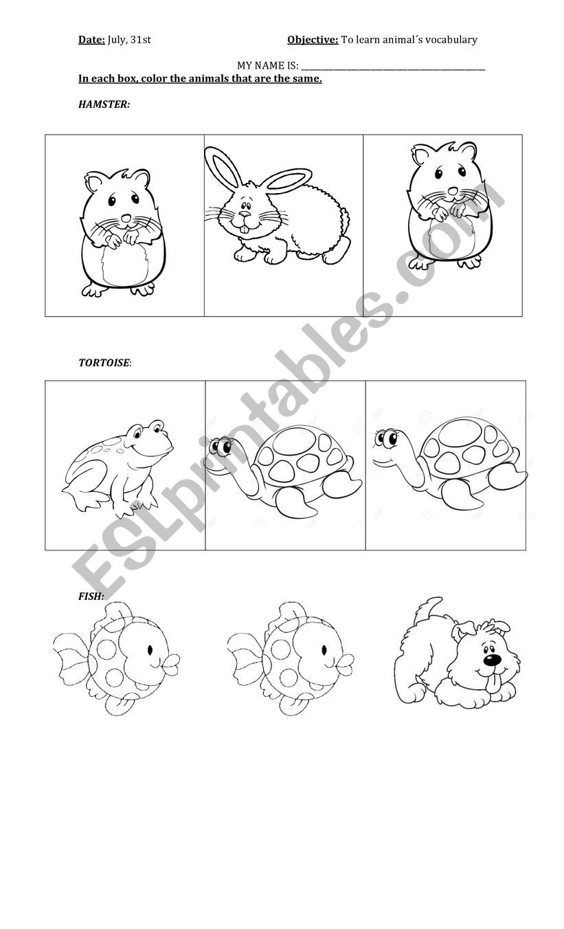 animals worksheet